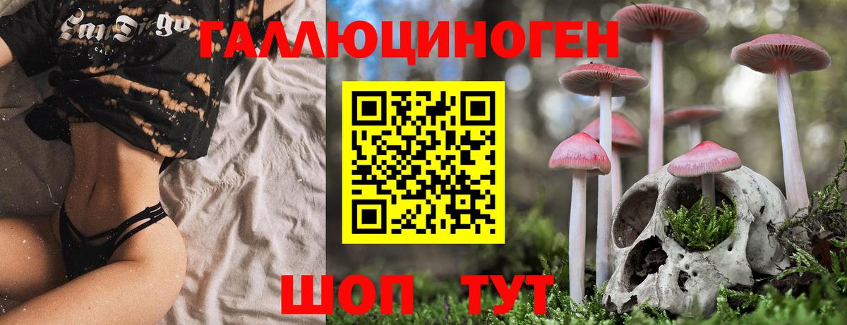 Хабаровск  Галлюциногенные грибы Cubensis  Вход с VPN 