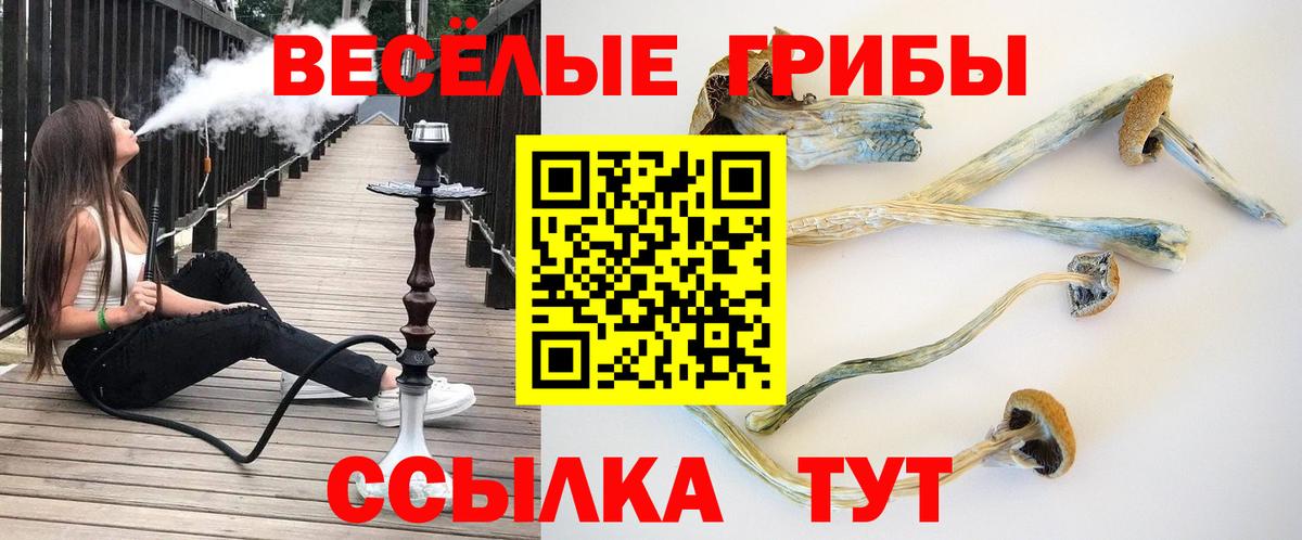 Галлюциногенные грибы GOLDEN TEACHER Хабаровск
